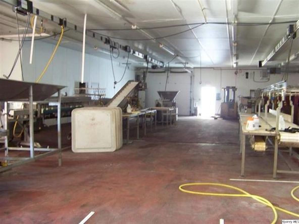 Big River Fish Corporation: 30402 State Highway 107, Griggsville, IL 62340
